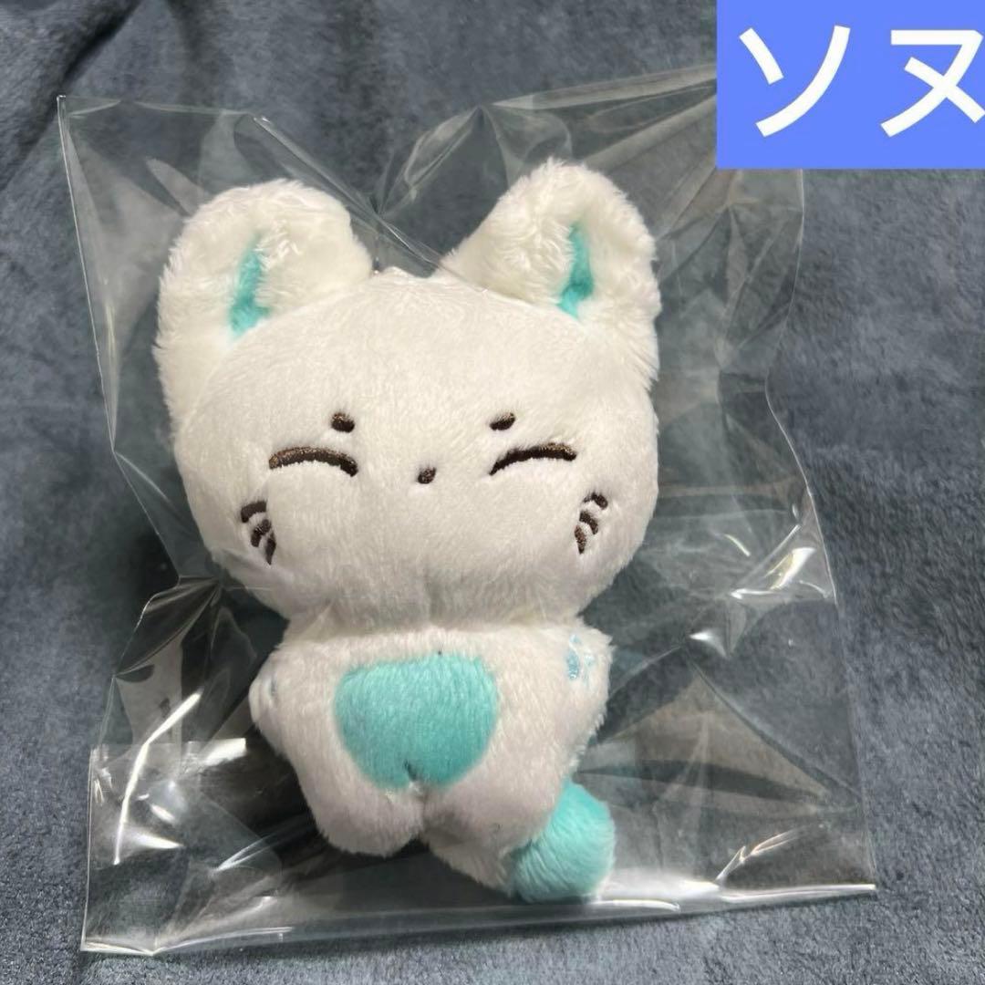 enhypen ぬいぐるみ　10cm 新品　マスター　ソヌ　ニキ　ジョンウォン